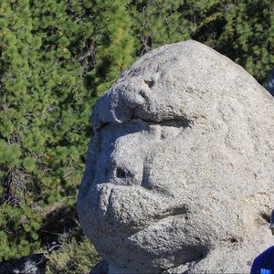 Meet your Posher, Robby